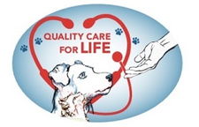 Curtner Pet Clinic & Hospital